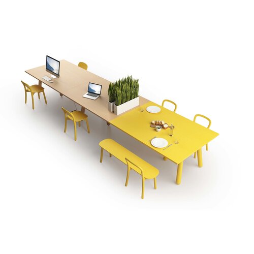 DUM DUM Beech Bench bank DUM DUM Beech Bench bank