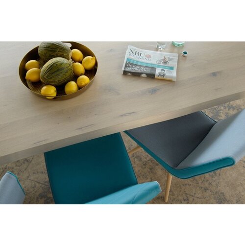 Bert Plantagie Bert Plantagie Bixx