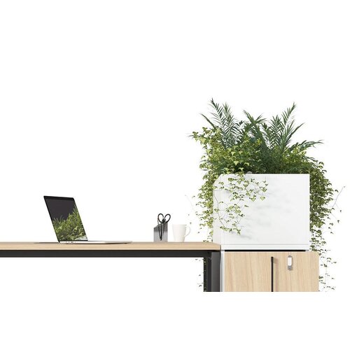 Narbutas Narbutas BOXI kantoorkast