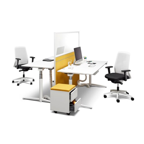 Palmberg Palmberg Caldo