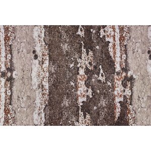 Donkersloot Donkersloot Cliff karpet