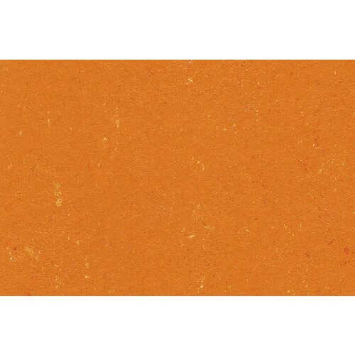 Gerflor Gerflor DLW Linoleum Colorette Acoustic Plus Neo Care akoestische vloerbedekking