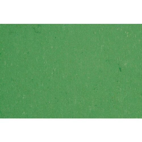 Gerflor Gerflor DLW Linoleum Colorette Neo Care vloerbedekking Gerflor Gerflor DLW Linoleum Colorette Neo Care vloerbedekking