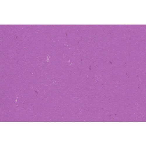 Gerflor Gerflor DLW Linoleum Colorette Neo Care vloerbedekking Gerflor Gerflor DLW Linoleum Colorette Neo Care vloerbedekking