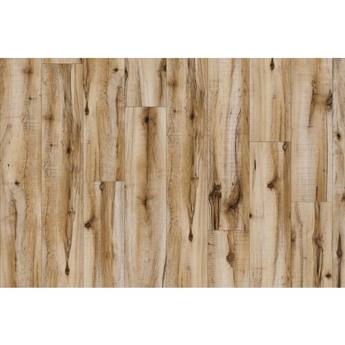 Moduleo Moduleo Transform Cotton Wood vinyl planken
