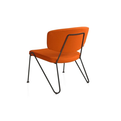 Neil David Neil David F1 fauteuil