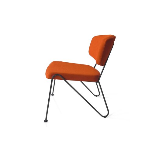 Neil David Neil David F1 fauteuil