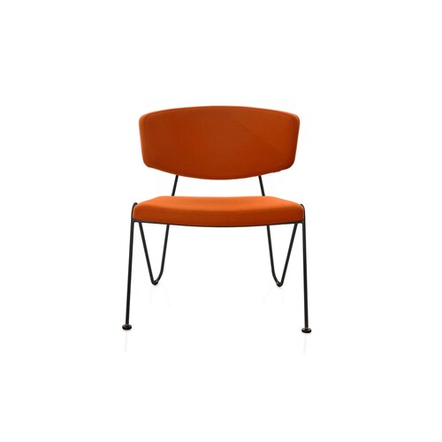 Neil David Neil David F1 fauteuil