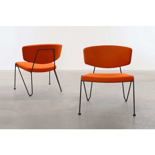 Neil David Neil David F1 fauteuil