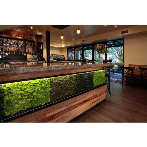 Draumr Draumr Polarmoss Flex Elements groene wanden