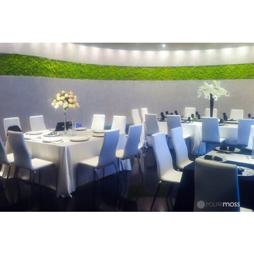 Draumr Draumr Polarmoss Flex Elements groene wanden