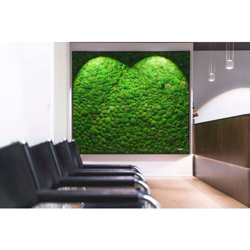 Draumr Draumr Polarmoss Green Walls