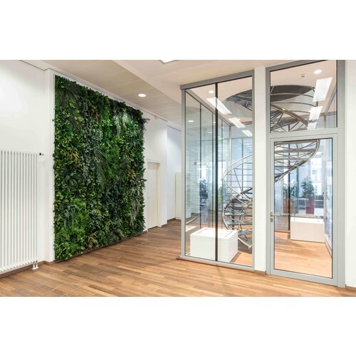 Draumr Draumr Polarmoss Green Walls