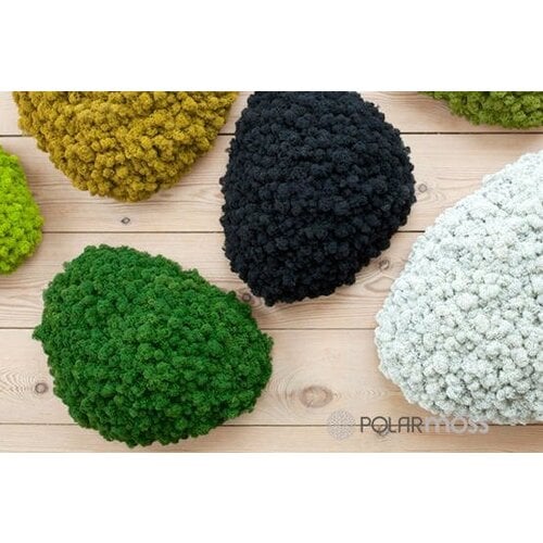 Draumr Draumr Polarmoss Island akoestische groene wand Draumr Draumr Polarmoss Island akoestische groene wand