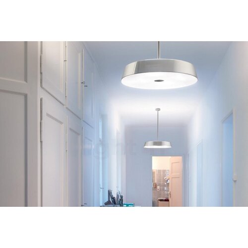 Belux Belux Koi Belux Belux Koi