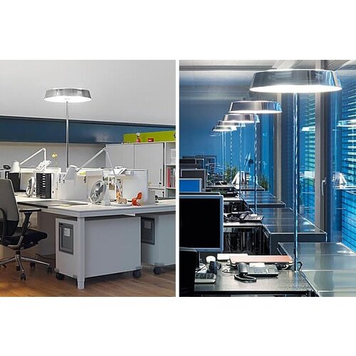 Belux Belux Koi Belux Belux Koi