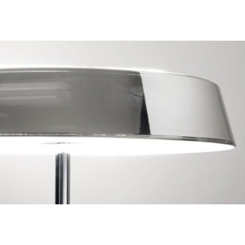 Belux Belux Koi Belux Belux Koi