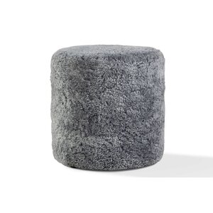 Jonas Ihreborn Jonas Ihreborn Polly