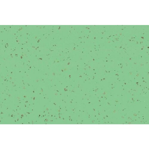 Gerflor Gerflor Taralay Premium Compact vinyl vloer