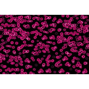 Forbo Flooring Forbo Flooring Flotex Sottsass geprint tapijt