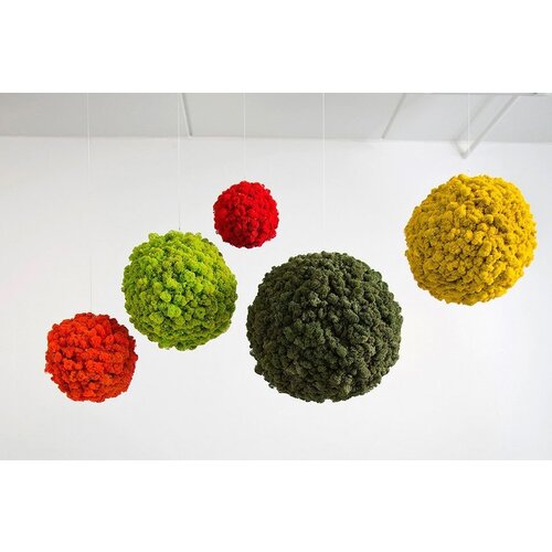 Draumr Draumr Polarmoss Sphere Draumr Draumr Polarmoss Sphere