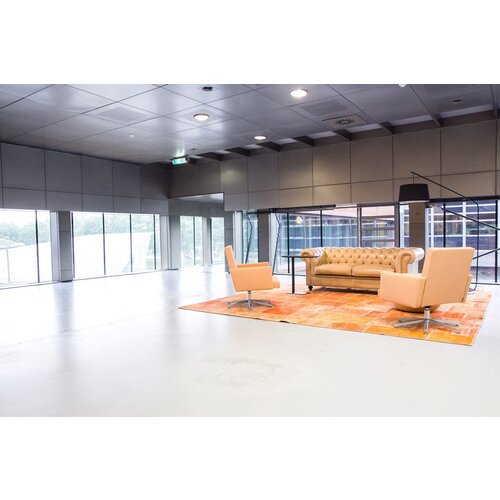 Lensvelt Lensvelt AVL SPR Cathedra fauteuil