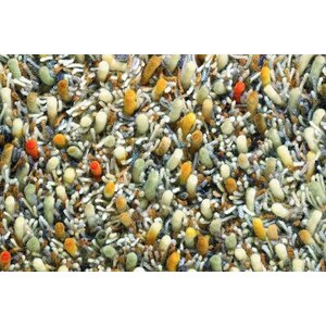 Brink &amp; Campman Brink &amp; Campman Spring vloerkleed