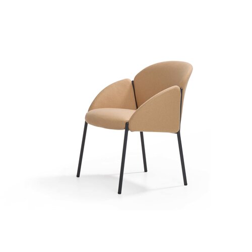 Artifort Artifort Andrea Stoel