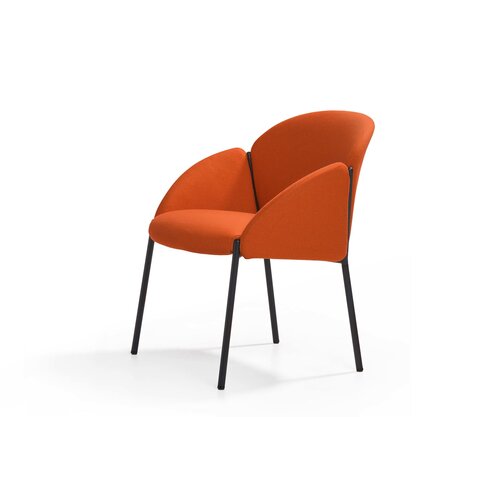 Artifort Artifort Andrea Stoel