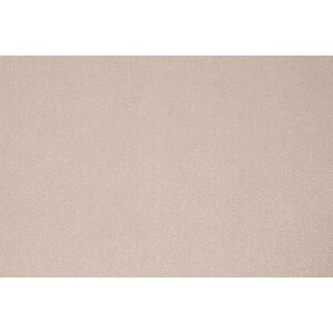 Van Besouw Van Besouw 2609 tapijt