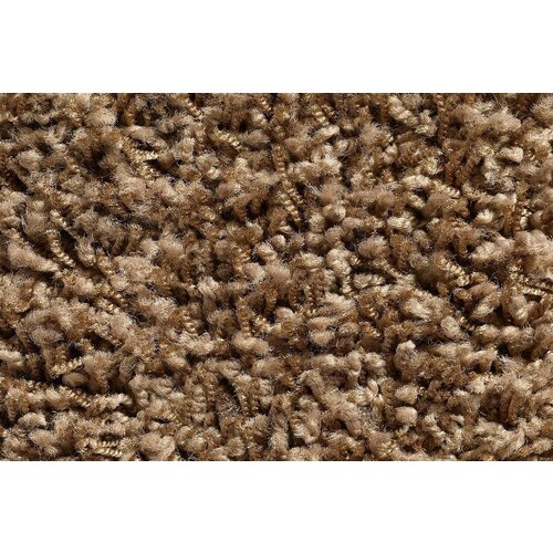 Carpet Concept Carpet Concept Concept 504 tapijt Carpet Concept Carpet Concept Concept 504 tapijt