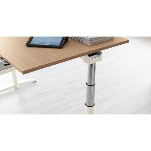 Palmberg Palmberg Caldo