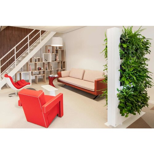 Palau Palau Kylian bank Palau Palau Kylian bank