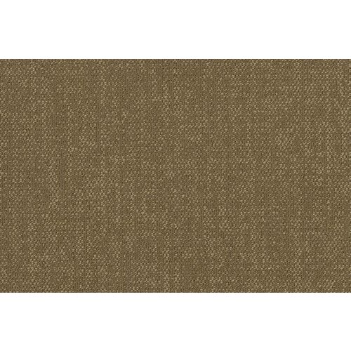 Shaw Shaw Color Frame tapijttegel 5T 081 Shaw Shaw Color Frame tapijttegel 5T 081