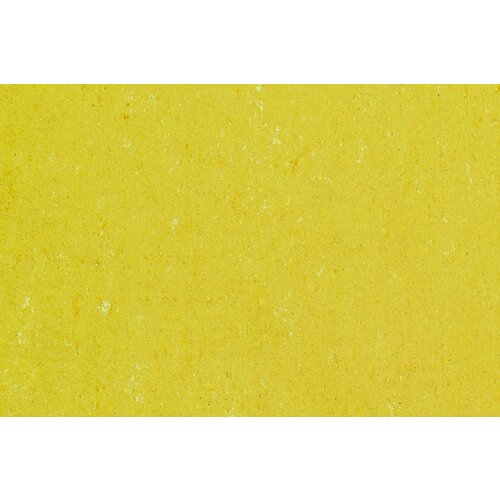 Gerflor Gerflor DLW Linoleum Colorette Acoustic Plus Neo Care akoestische vloerbedekking