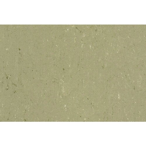 Gerflor Gerflor DLW Linoleum Colorette Neo Care vloerbedekking