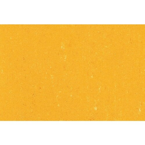 Gerflor Gerflor DLW Linoleum Colorette PUR vloerbedekking Gerflor Gerflor DLW Linoleum Colorette PUR vloerbedekking