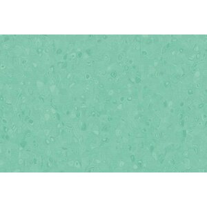 Forbo Flooring Forbo Flooring Sphera Element homogeen vinyl vloer Forbo Flooring Forbo Flooring Sphera Element homogeen vinyl vloer