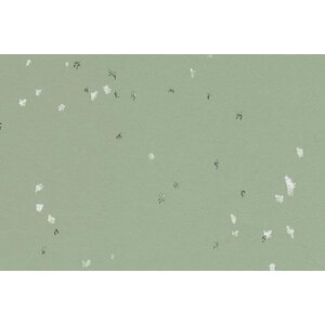 Forbo Flooring Forbo Flooring Sphera Evolution homogeen vinyl vloer