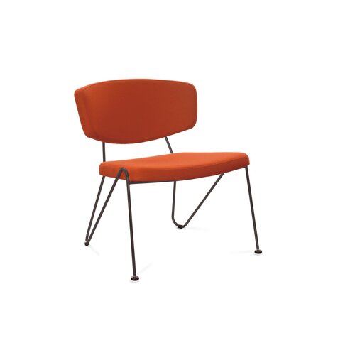 Neil David Neil David F1 fauteuil Neil David Neil David F1 fauteuil