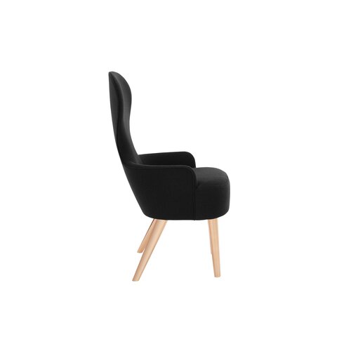 Tom Dixon Tom Dixon Wingback Fauteuil Tom Dixon Tom Dixon Wingback Fauteuil