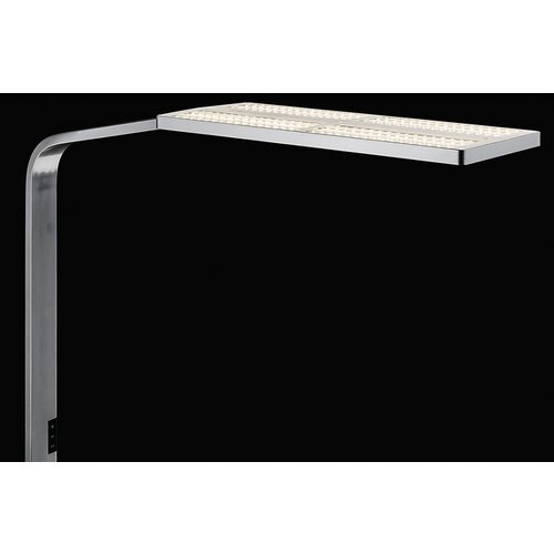 Nimbus Nimbus Force One Nimbus Nimbus Force One