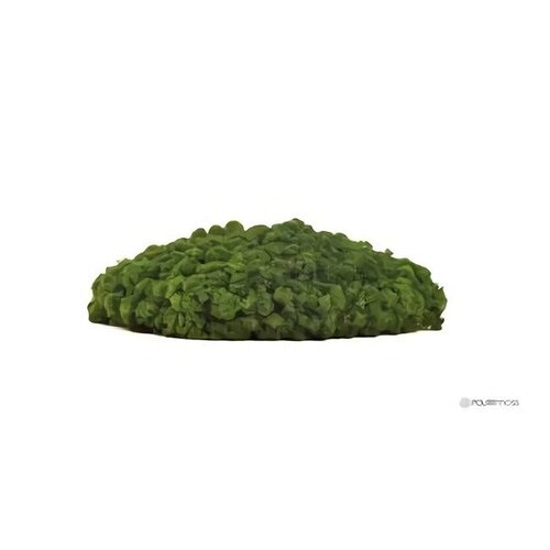 Draumr Draumr Polarmoss Island akoestische groene wand Draumr Draumr Polarmoss Island akoestische groene wand