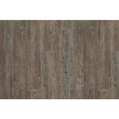Moduleo Moduleo Transform Latin Pine vinyl planken Moduleo Moduleo Transform Latin Pine vinyl planken