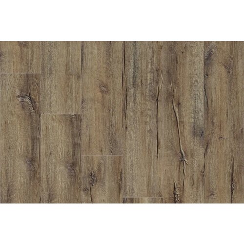 IVC Moduleo IVC Moduleo 55 LVT Impressive Mountain Oak vinyl vloeren