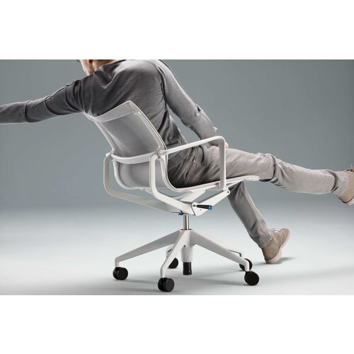 Vitra Vitra Physix stoel Vitra Vitra Physix stoel