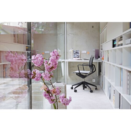 Vitra Vitra Physix stoel Vitra Vitra Physix stoel