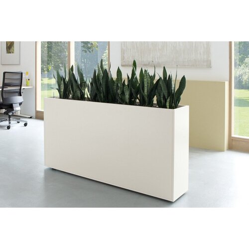 Palmberg Palmberg Plantenbak Palmberg Palmberg Plantenbak