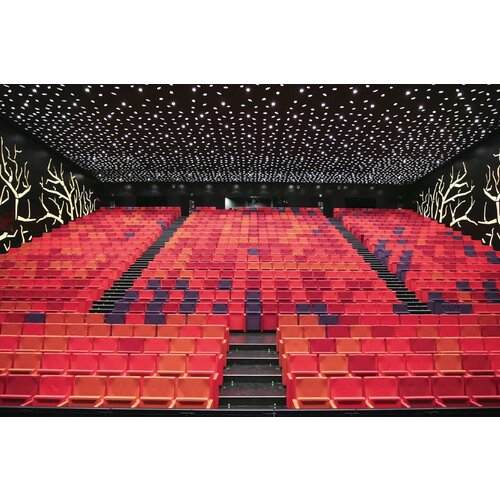 Dynamobel Dynamobel Prima zaalstoel