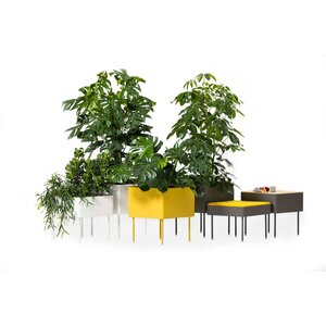 Cascando Cascando Rombo plantenbak